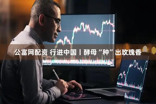 公富网配资 行进中国丨酵母“种”出玫瑰香