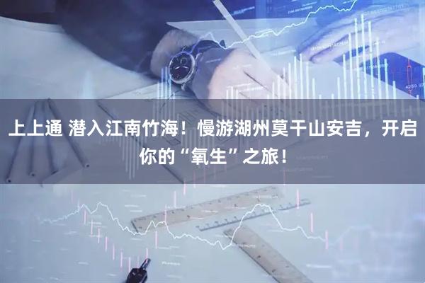 上上通 潜入江南竹海！慢游湖州莫干山安吉，开启你的“氧生”之旅！
