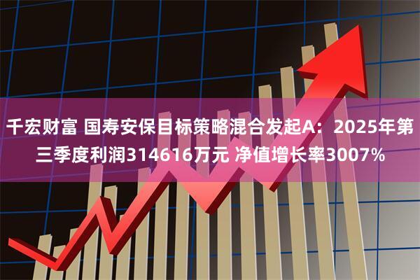 千宏财富 国寿安保目标策略混合发起A：2025年第三季度利润314616万元 净值增长率3007%